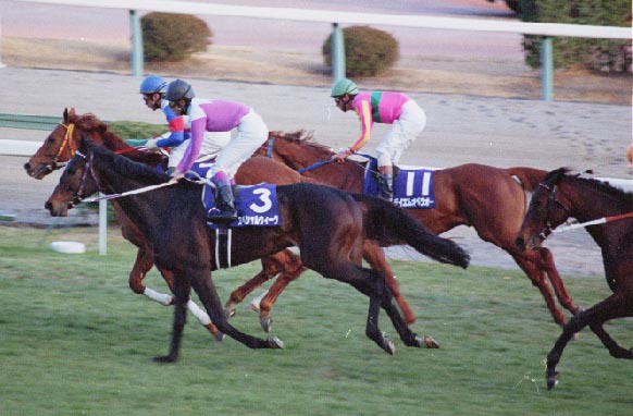 有馬記念、ゴール直後