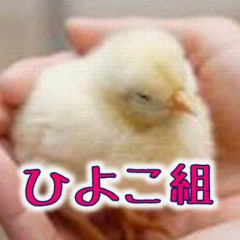 ひよこ組