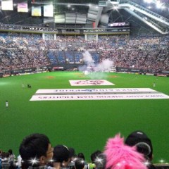 ファイターズ勝利