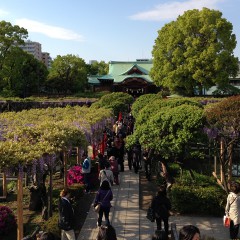 亀戸天神社