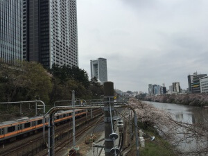 中央線と桜