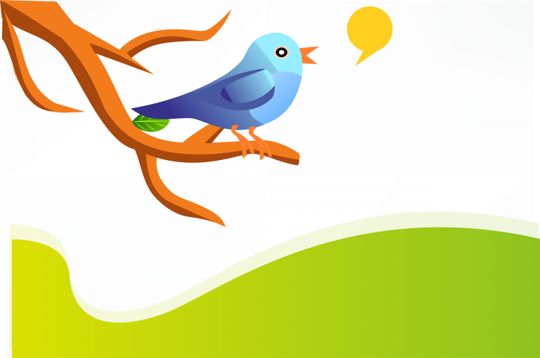 Tweet-Bird